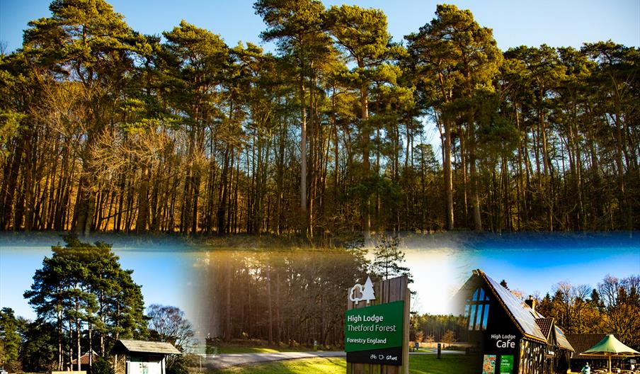Go Wild Camping Thetford - mYminiBreak
