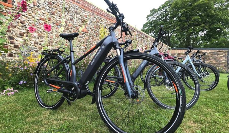 Torque E-Bikes