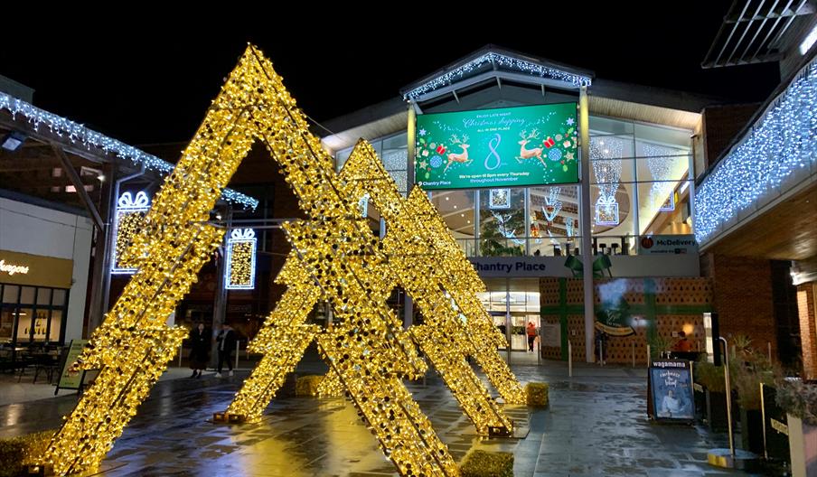 Twinkling Trio of Tree on Chantry Square, Norwich