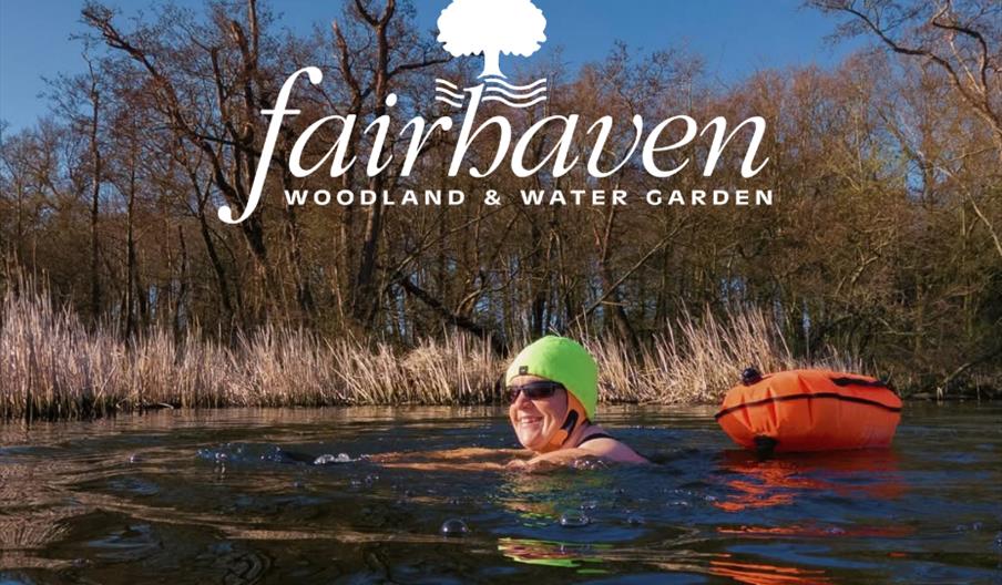 Wild swimming at South Walsham Broad in Norfolk, featuring a swimmer enjoying the tranquil outdoor waters.