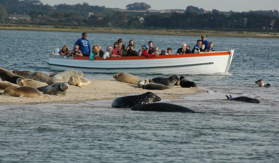 beans seal trips morston quay