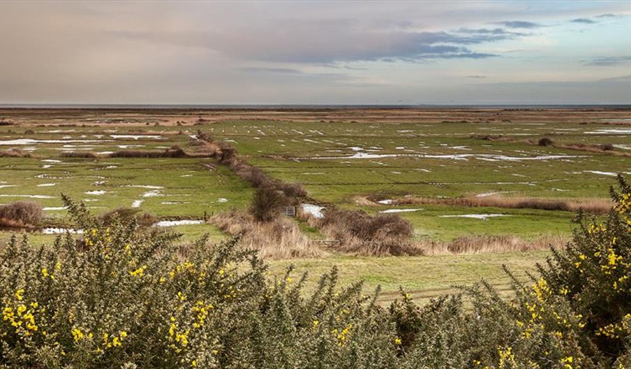 Blakeney Freshes Coastal Walk