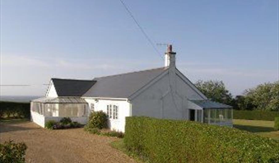 Buckthorns