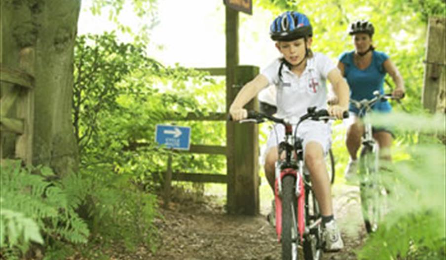 Broadland Cycle Hire