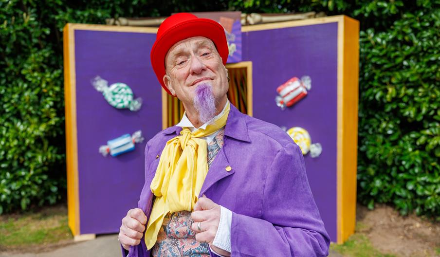 Dippy's Chocolate Factory Amazing-Maze