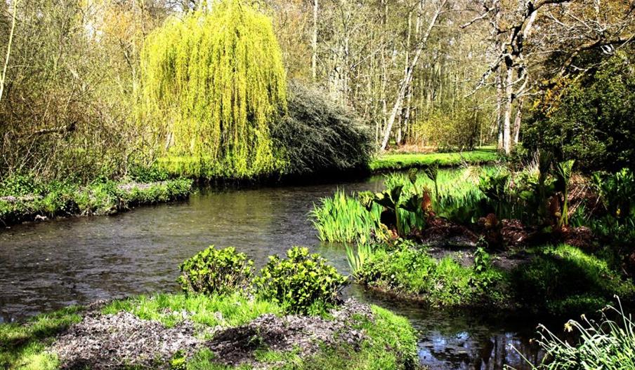 Fairhaven Woodland and Water Garden - Boat Trips