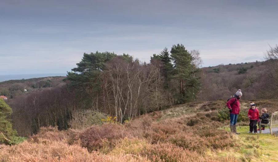National Trust West Runton & Beeston Regis Heath