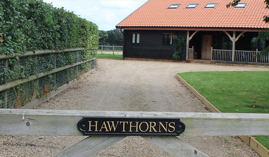 Hawthorns