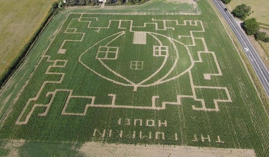 Maize Maze at The Pumpkin House