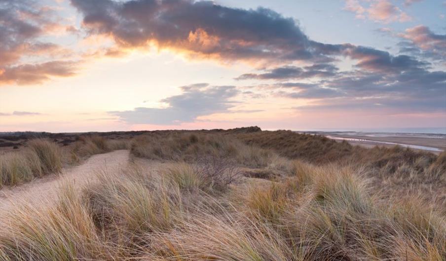 NWT Holme Dunes