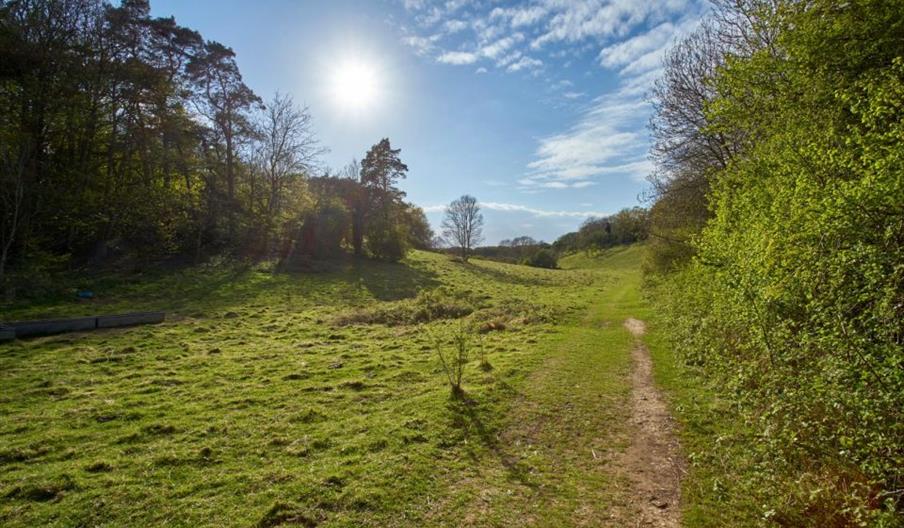 NWT Ringstead Downs