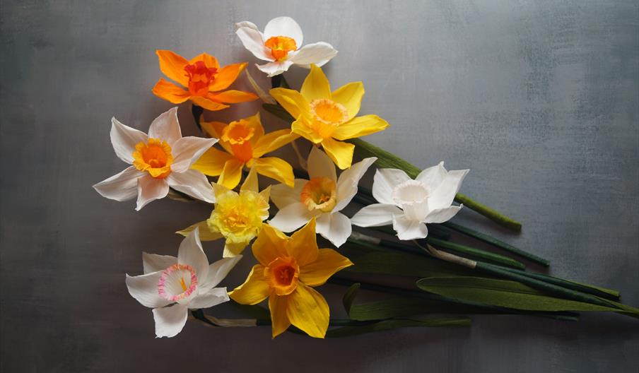 A bunch of paper daffodils on a grey background.