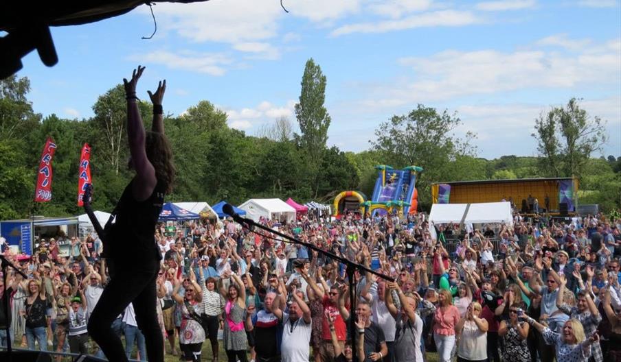 Reepham Festival 2026