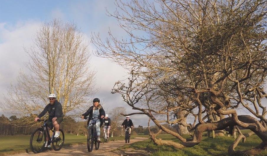 Sea & Pine Cycle Hire