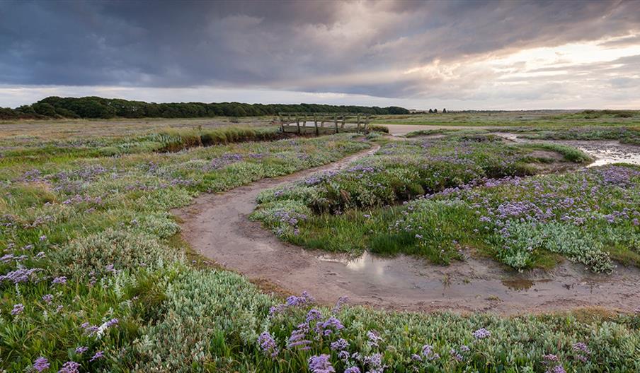 Stiffkey Marshes