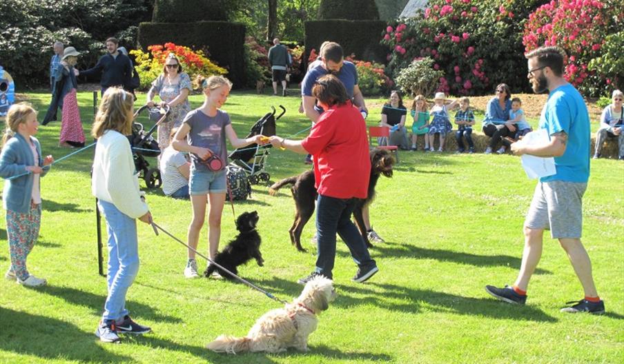 Stody Family Fun Day