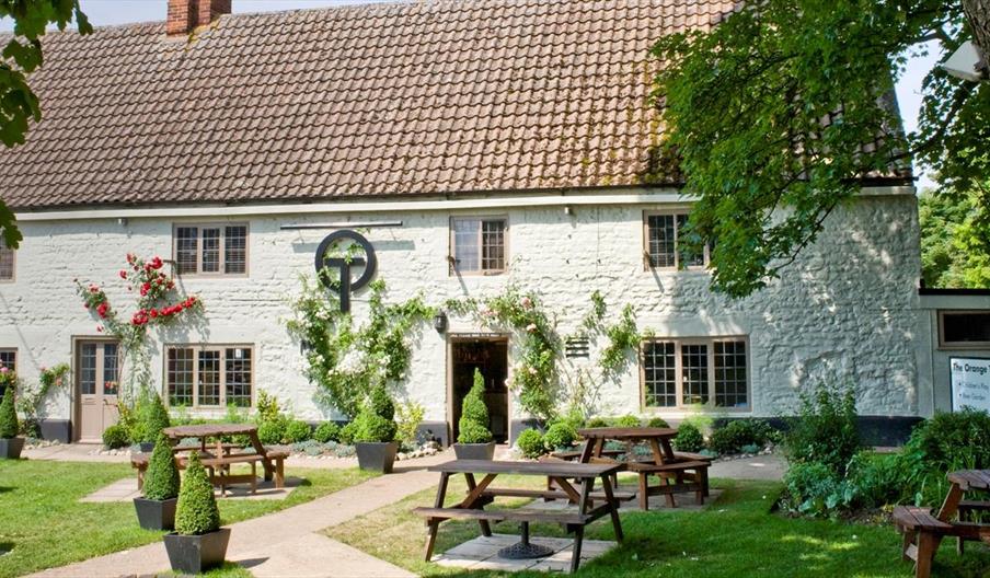 The Orange Tree