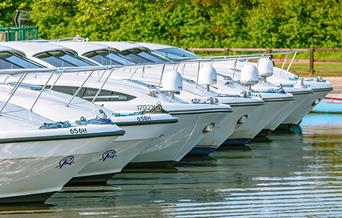 Richardson's Cruisers at Stalham Marina