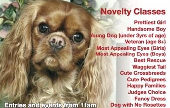 The Hunstanton Fun Dog Show