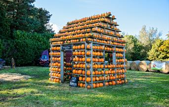 The Pumpkin House