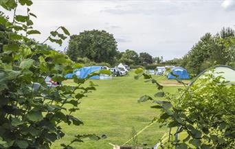 Baconsthorpe Meadows Campsite