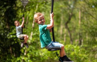 Zip Lines at BeWILDerwood Norfolk