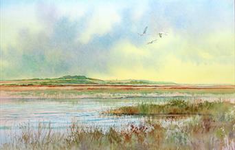 Cley Spoonbill Flight