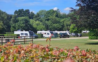 Caravan pitches at Deer's Glade