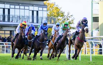 Horse racing at Fakenham Racecourse - passing the Prince of Wales Stand