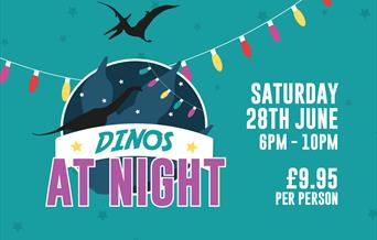 Dinos at Night