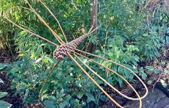 Woven willow dragonfly