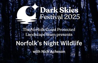 A nighttime woodland background with overlaying text of the event title