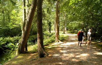 Fairhaven Woodland and Water Garden