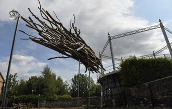 Contemporary Art Installation