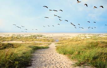 Breaks in Norfolk