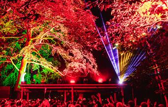 Houghton Festival 2025