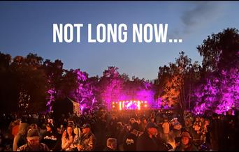 Folk in a Field Festival 2025