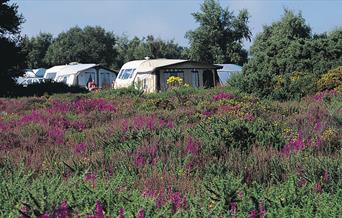 Kelling Heath Holiday Park Touring and Camping Pitches