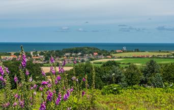 Kelling Heath View