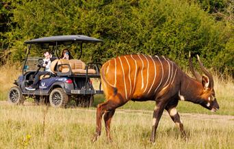 Watatunga Wildlife Reserve