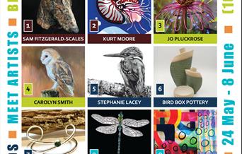 North Norfolk Open Studios Brochure