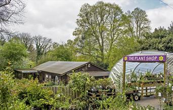 Natural Surroundings Nursery