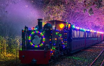 Noel Night Train