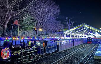 Noel Night Train