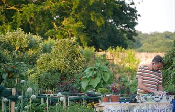 Martin Noble-James in the Walled Garden at sunset.