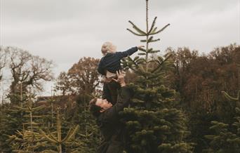 PYO Christmas Tree