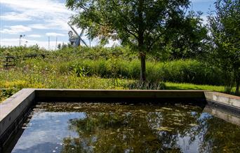 The pond at Horsey with the windpump in the background.