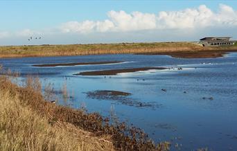 RSPB Titchwell Marsh