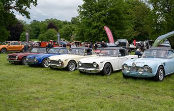 Sandringham Pageant courtesy of Tom Horne