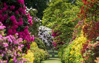 Stody Lodge Gardens